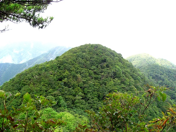 笹子雁ヶ腹摺山方面景色