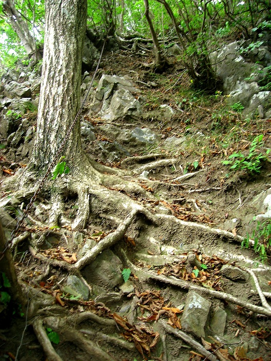 米沢山から笹子雁ヶ腹摺山の鎖場