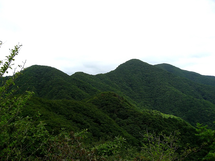 大谷ヶ丸・大蔵高丸・お坊山面