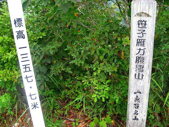 笹子雁ヶ腹摺山山頂