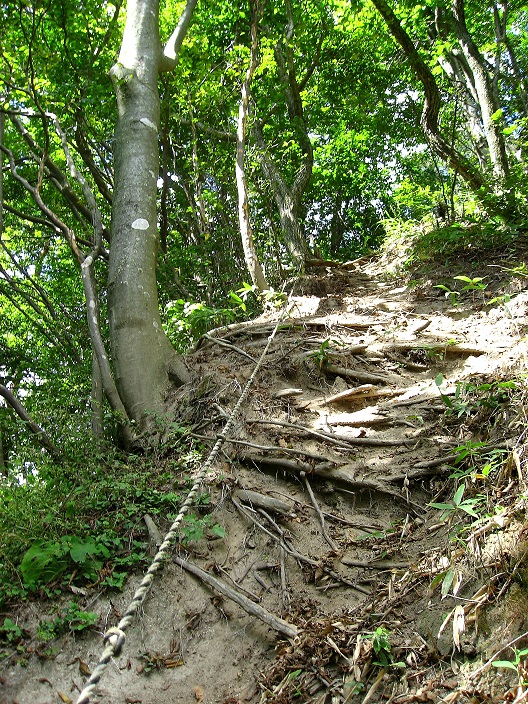 笹子雁ヶ腹摺山から笹子峠までの道のり