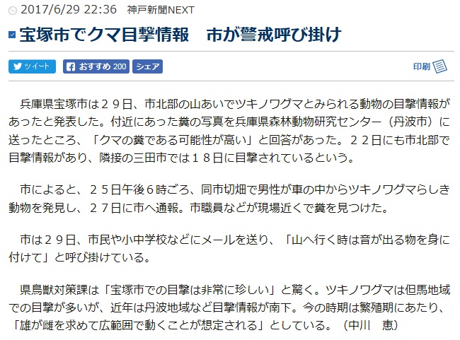 兵庫県宝塚市の北部の山の中熊の目撃