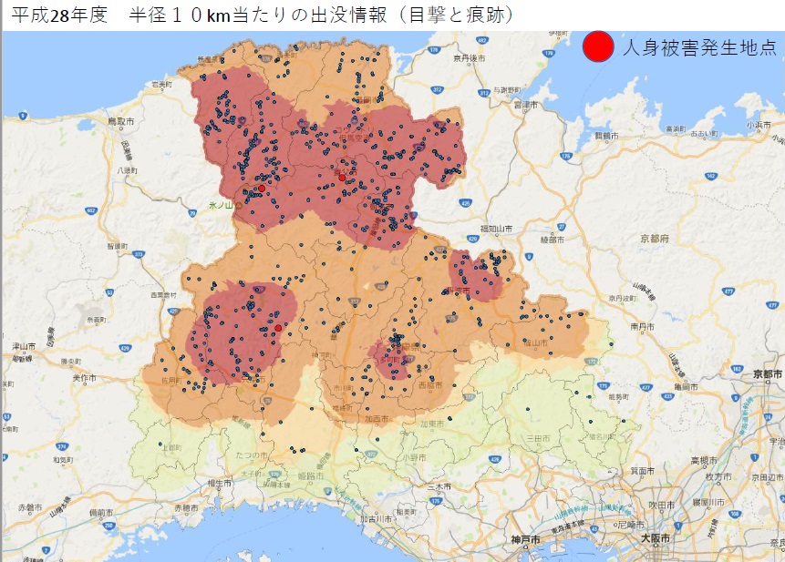 氷ノ山・六甲山・摩耶山・有馬温泉の熊出没と目撃地