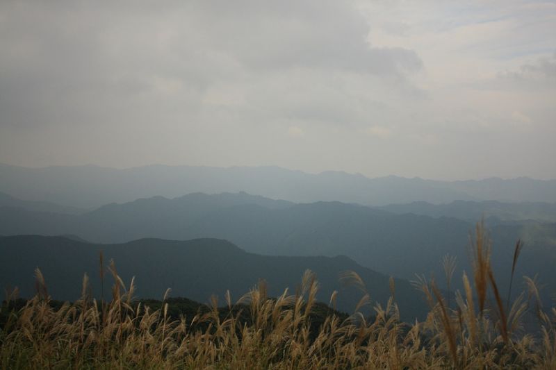 棒ノ嶺山頂奥武蔵の景色