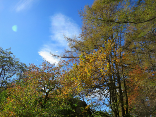 f:id:aohige0718:20181008111715j:plain 大菩薩の紅葉