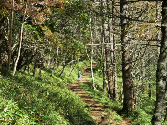 f:id:aohige0718:20181008111947j:plain <p>