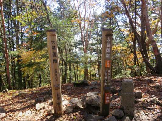 大菩薩嶺から大菩薩峠登山道
