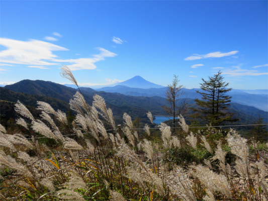 大菩薩嶺周辺お月見スポット