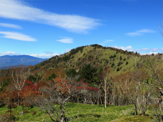 大菩薩嶺の山頂