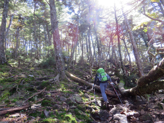 大菩薩峠から熊笹山