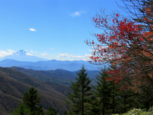 富士山の景色雄大