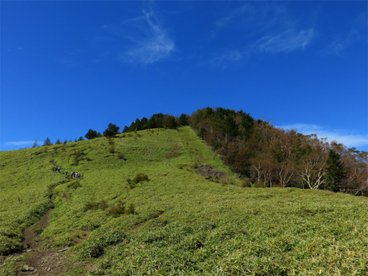 熊笹山の防火帯