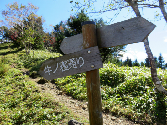 牛ノ寝通りのスタート