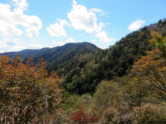 先ほどまでいた天狗棚山と小金沢山
