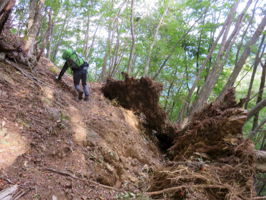小菅の湯までのルート登山道がえぐられた所