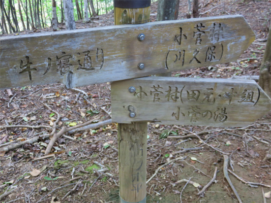 小菅の湯定期的に道標