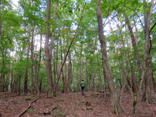 小菅の湯少し尾根が広い所