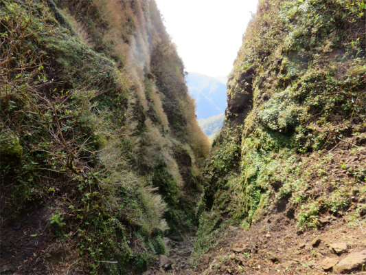 呼子岳から蓬莱山