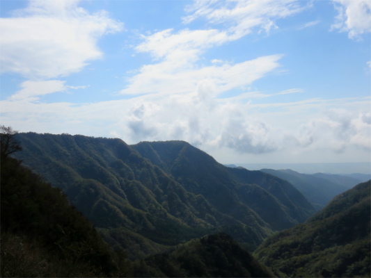正真正銘の愛鷹山