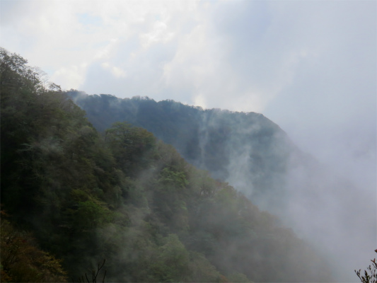 幻想的な愛鷹連峰