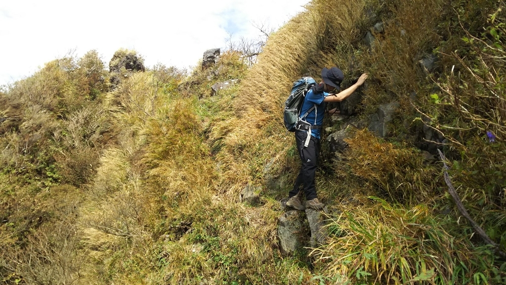 アオヒゲ危機一髪