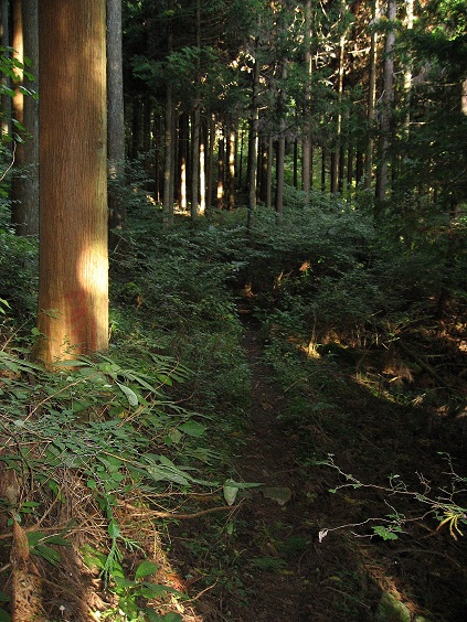 f:id:aohige0718:20181024202737j:plain 甲州街道踏み跡