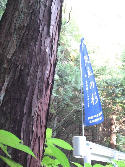 f:id:aohige0718:20181024202743j:plain 甲州街道林道