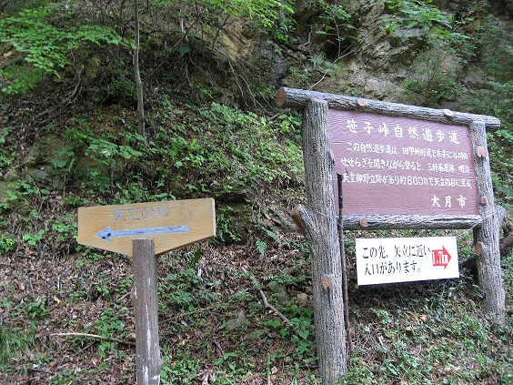 f:id:aohige0718:20181024202752j:plain 矢立の杉への分岐