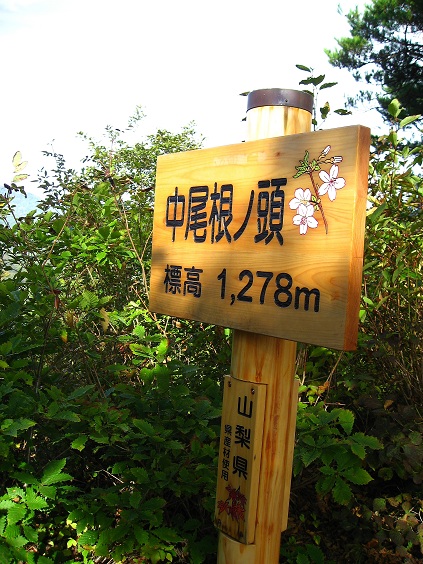 f:id:aohige0718:20181024202858j:plain 中尾根ノ頭