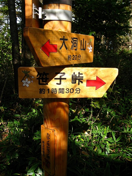 f:id:aohige0718:20181024202946j:plain カヤノキビラノ頭