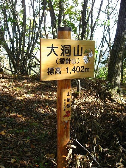 f:id:aohige0718:20181024203002j:plain 大洞山