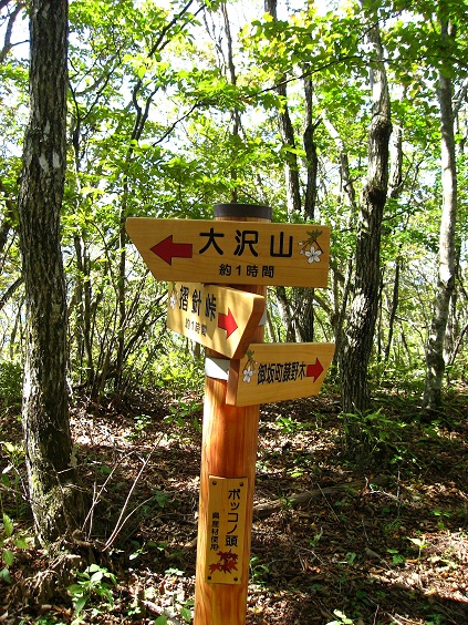 f:id:aohige0718:20181024203105j:plain ポッコノ頭