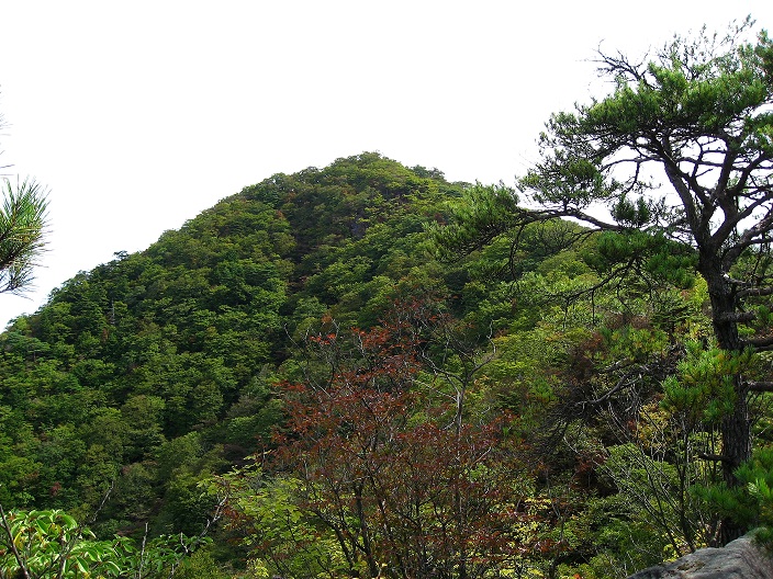 f:id:aohige0718:20181024203122j:plain 大沢山アップ