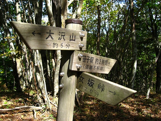 f:id:aohige0718:20181024203143j:plain 大沢山から笹子駅へ至るルート