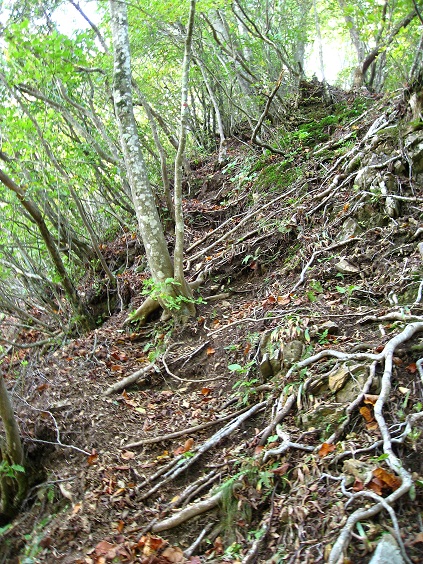 f:id:aohige0718:20181024203205j:plain 女坂峠から清八山の登り返し