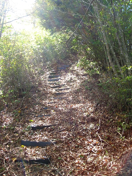 f:id:aohige0718:20181024203240j:plain 清八山鉄塔の管理道