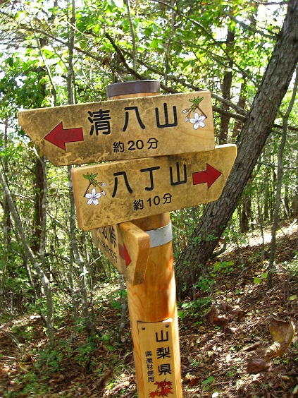 f:id:aohige0718:20181024203310j:plain 清八山・八丁山の分岐