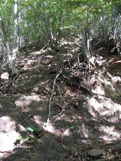 御巣鷹山への急登