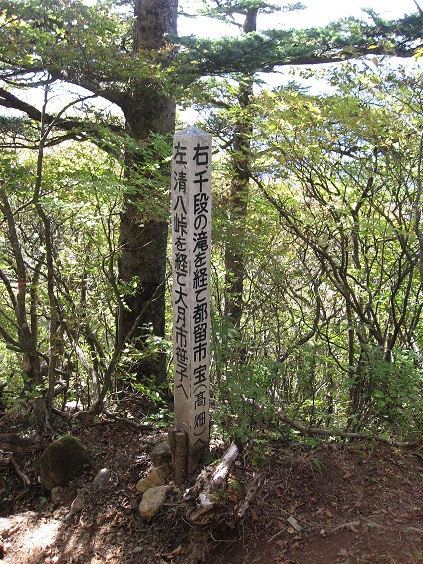 千段ノ滝への分岐