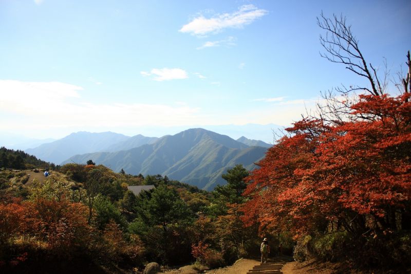 紅葉する木々が多い