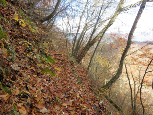 登山道が細い所滑落に注意