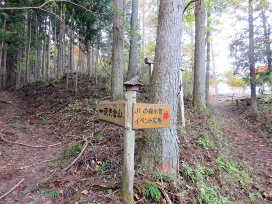 鶴峠から奈良倉山ルート