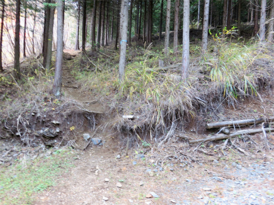 奈良倉山林道が交差