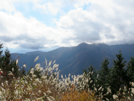 秀麗富嶽十二景五番山頂からの富士山の絶景