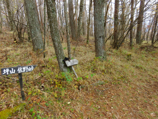 佐野峠から坪山ルート