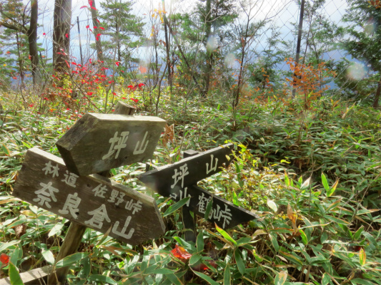 坪山登山コース情報量が多い分岐