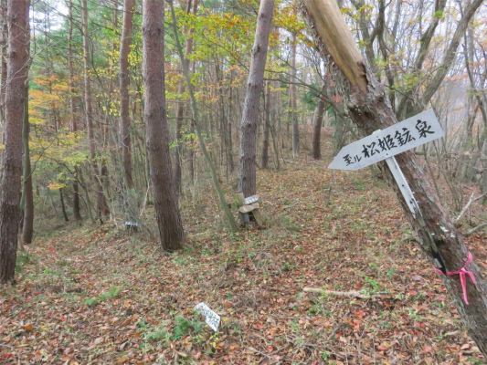 松姫鉱泉への分岐