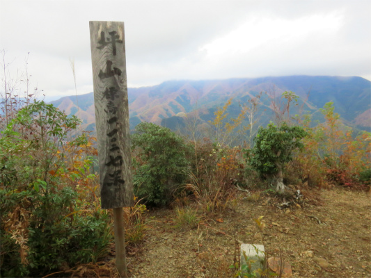 坪山の山頂