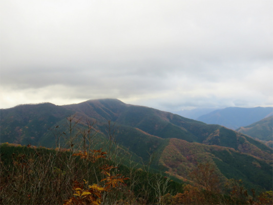 坪山からの奈良倉山方面の景色