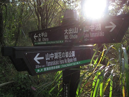 f:id:aohige0718:20181119172934j:plain 大出山